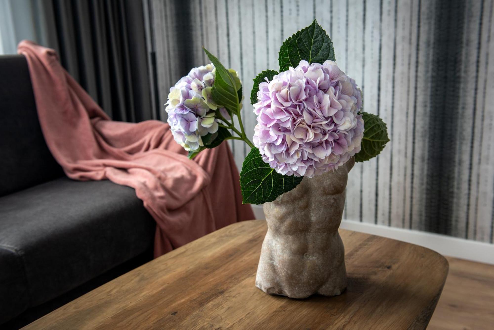 Inpoint Spacious Apartments Near Main Square & Kazimierz District クラクフ 部屋 写真